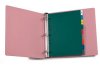 Dialysis 19- Tab Poly Standard Title Divider Set