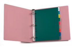 Long Term Care 14- Tab Poly Standard Title Divider Set